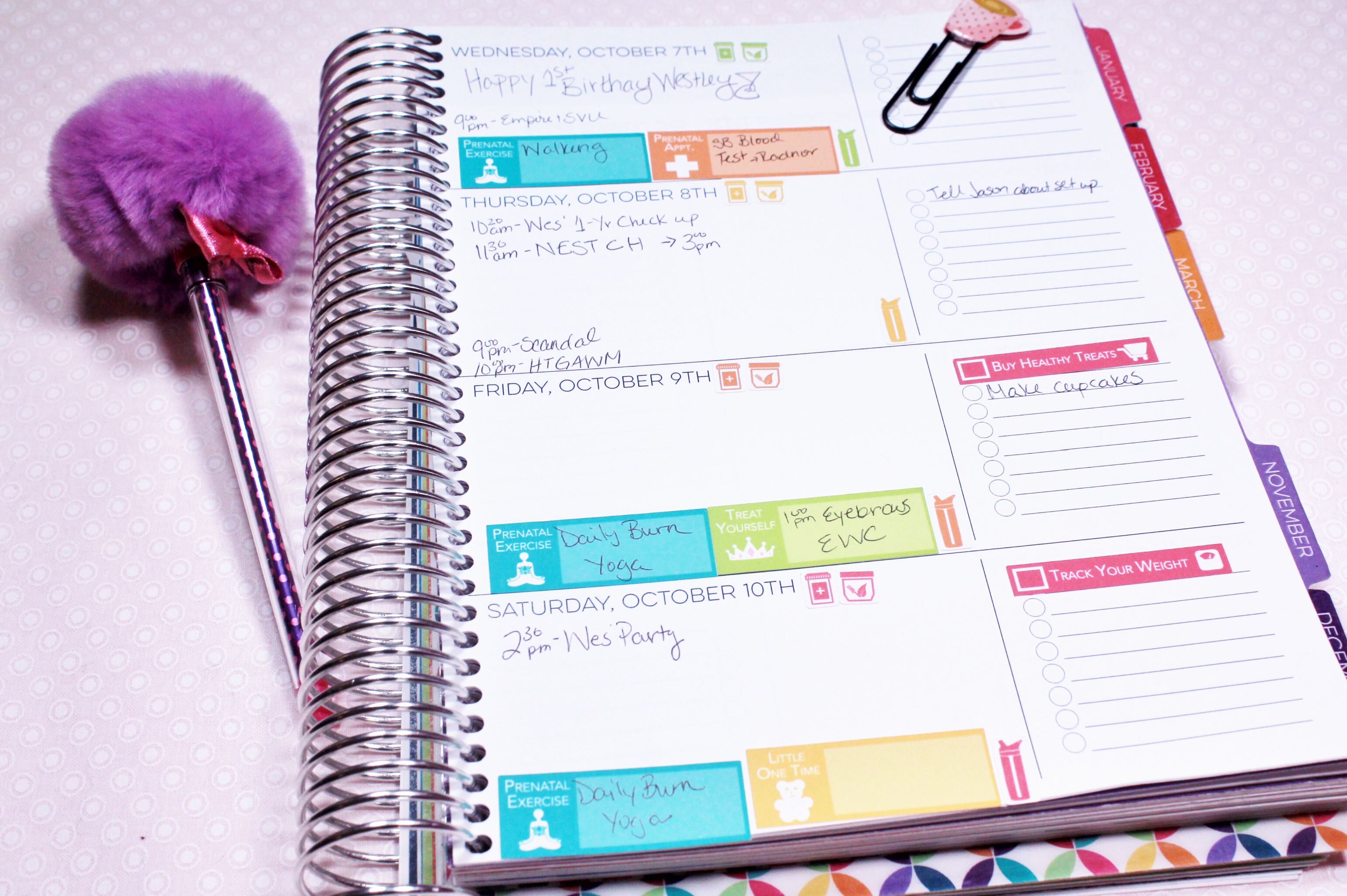 Limelife Planner with PinkimonoPapers Planner Stickers